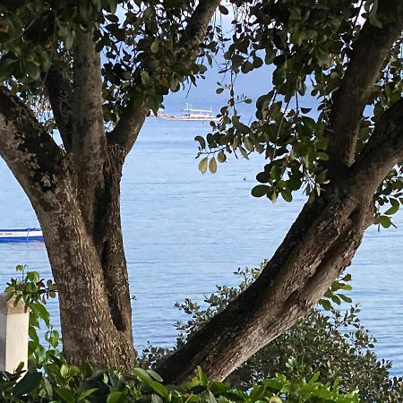 Pescador View - Beachfront & Nearby The Ocean Hostels & Restaurant Moalboal Bagian luar foto