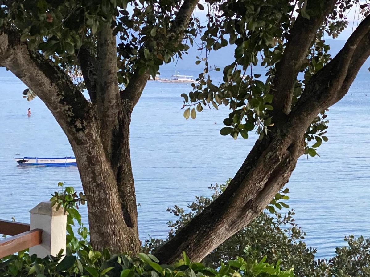 Pescador View - Beachfront & Nearby The Ocean Hostels & Restaurant Moalboal Bagian luar foto