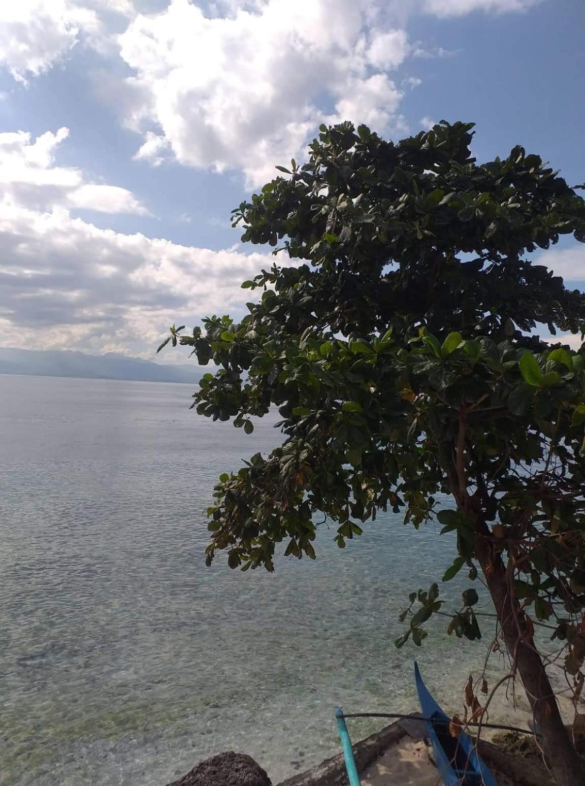 Pescador View - Beachfront & Nearby The Ocean Hostels & Restaurant Moalboal Ruang foto
